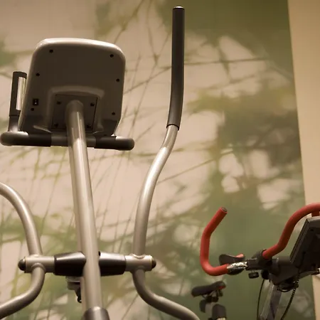 Flemings Selection Frankfurt-city 4* Франкфурт-на-Майне