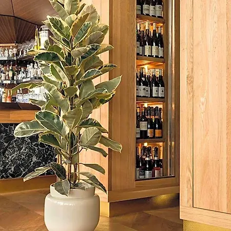 Hotel Flemings Selection Frankfurt-city Francfort-sur-le-Main